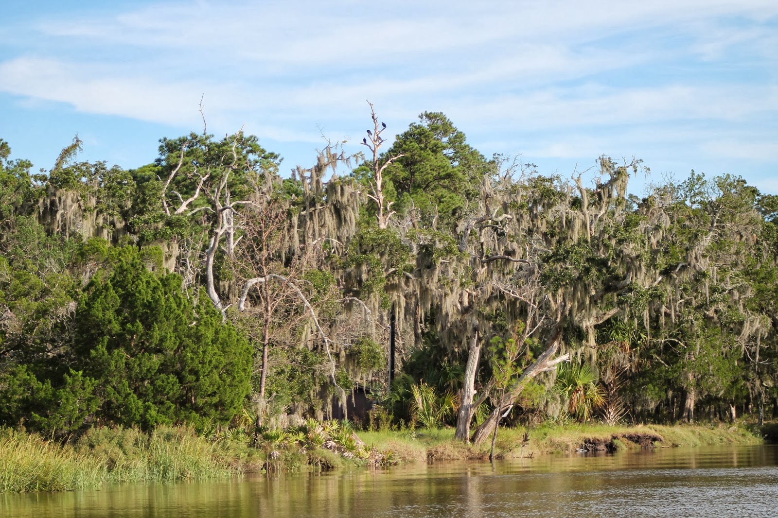 The Things I'm Learning Sapelo Island Vacation