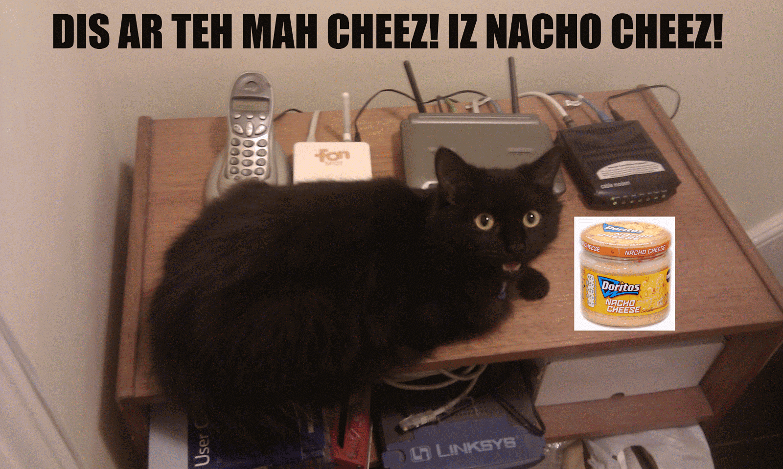 domeheid Lolcat This is my cheese! This is nacho cheese!