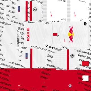 rb leipzig kit dls