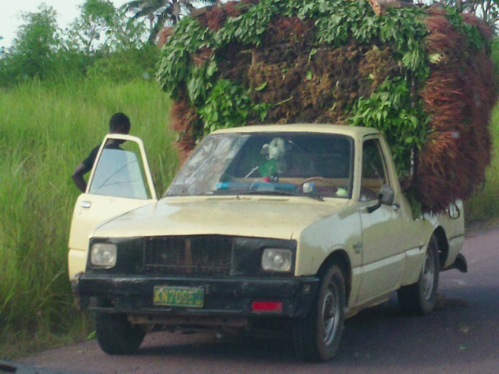 LDS Congo Mission: Into Africa...Trip From Kinshasa to Zongo Falls