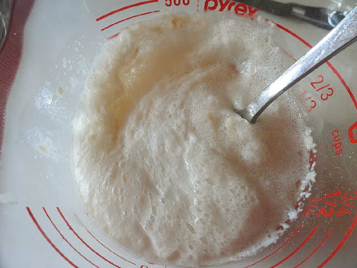 Foamy yeast mixture.