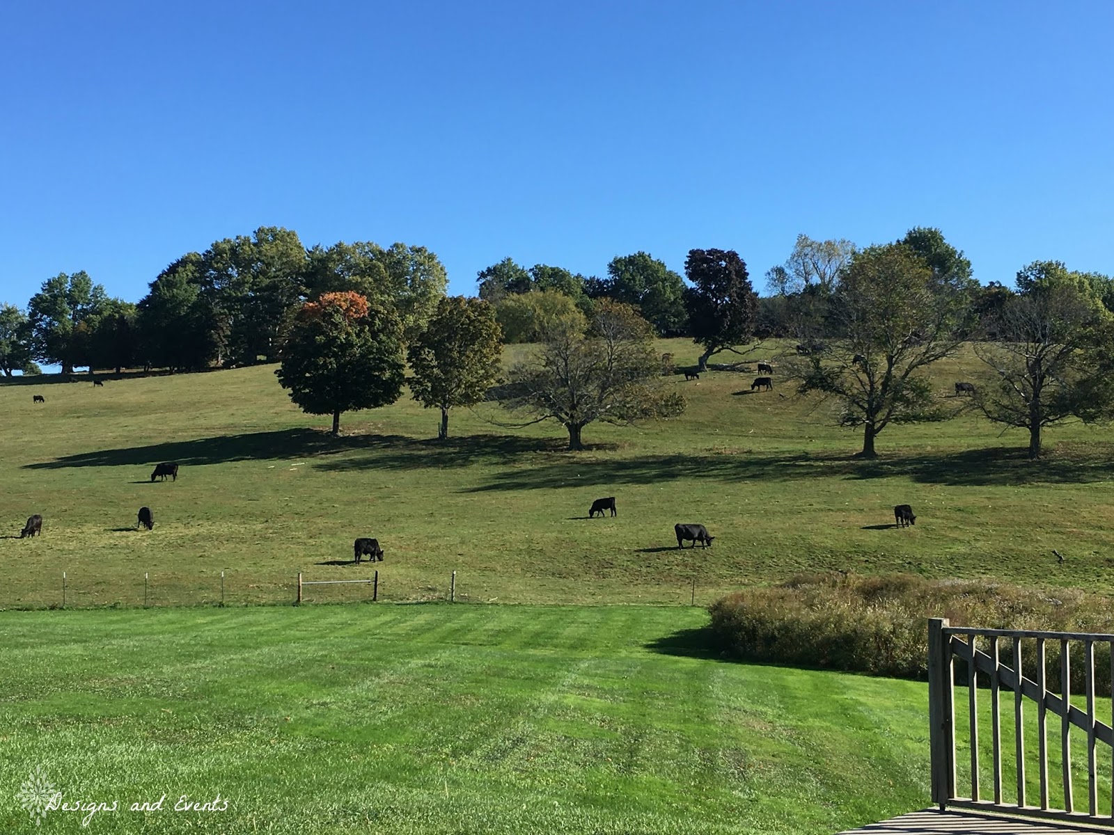 DesignsandEvents An Intimate Wedding at Gibbet Hill Grill