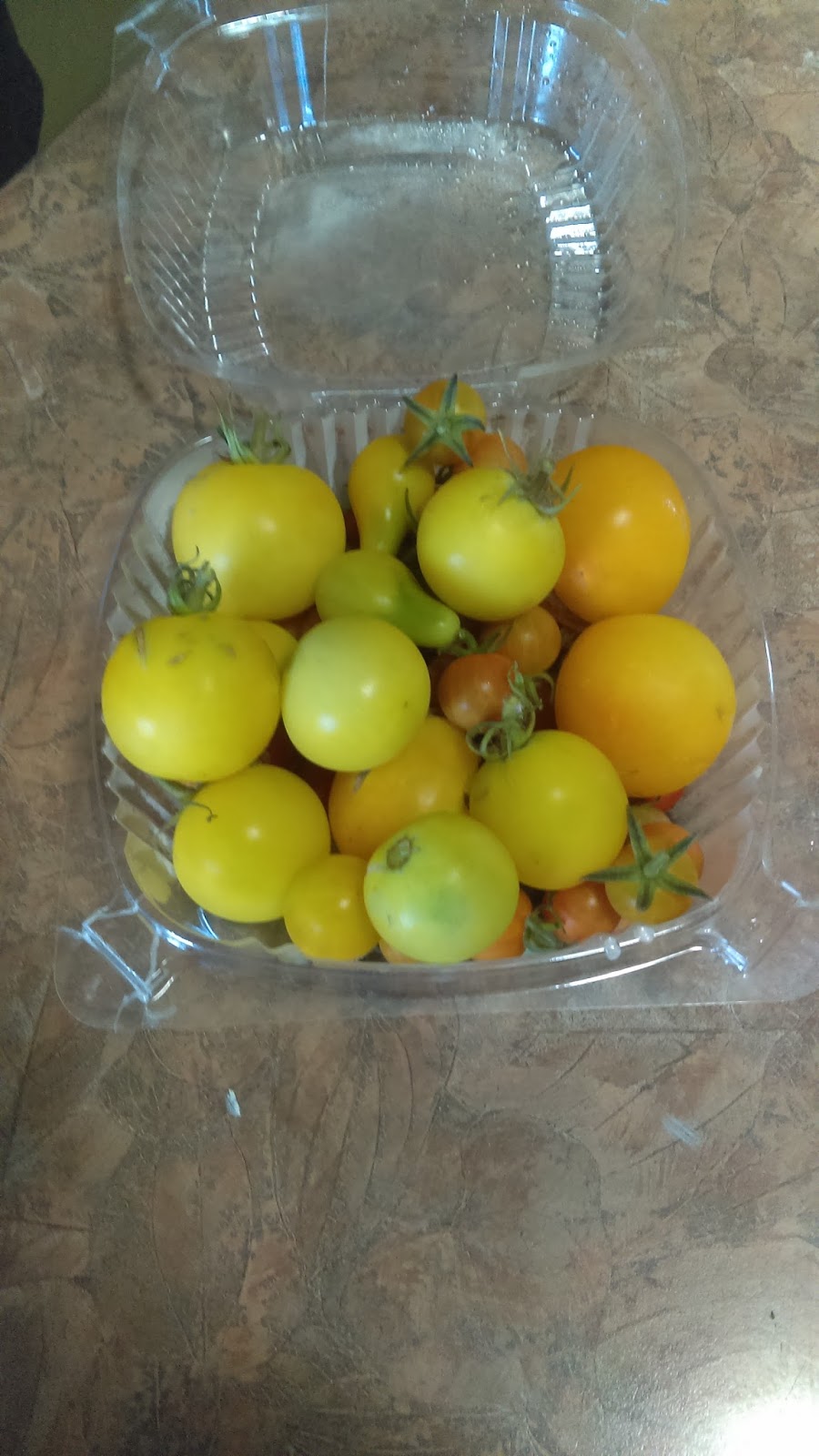 Foto Blog Puerto Rico: Piñas, Cherry Tomates, Tomates Pera Amarillos y