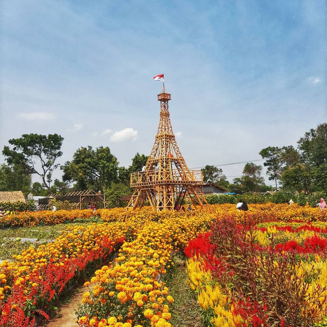 Wisata Dewi Cemara Kemang Kediri - Informasi Harga Tiket ...