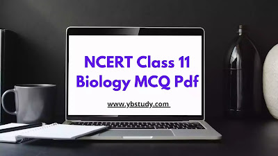 NCERT MCQ Class 11 Biology Chapter wise PDF