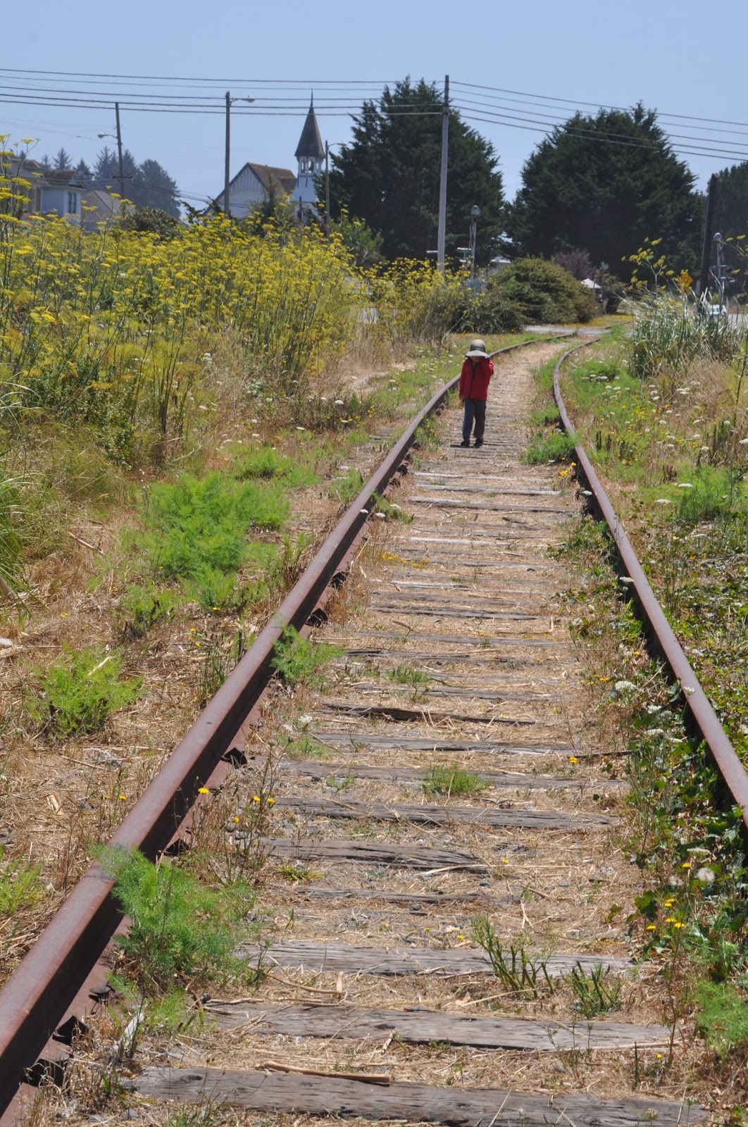 The Johnston Chronicles Loleta Train Tunnel hike
