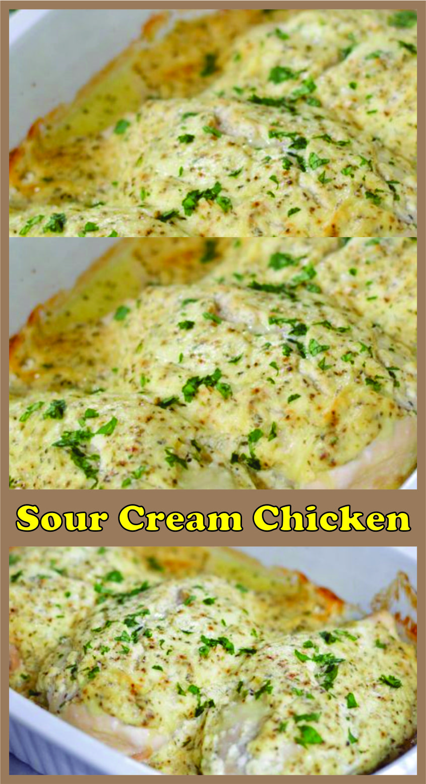 Easy Sour Cream Chicken Recipe Spesial Food