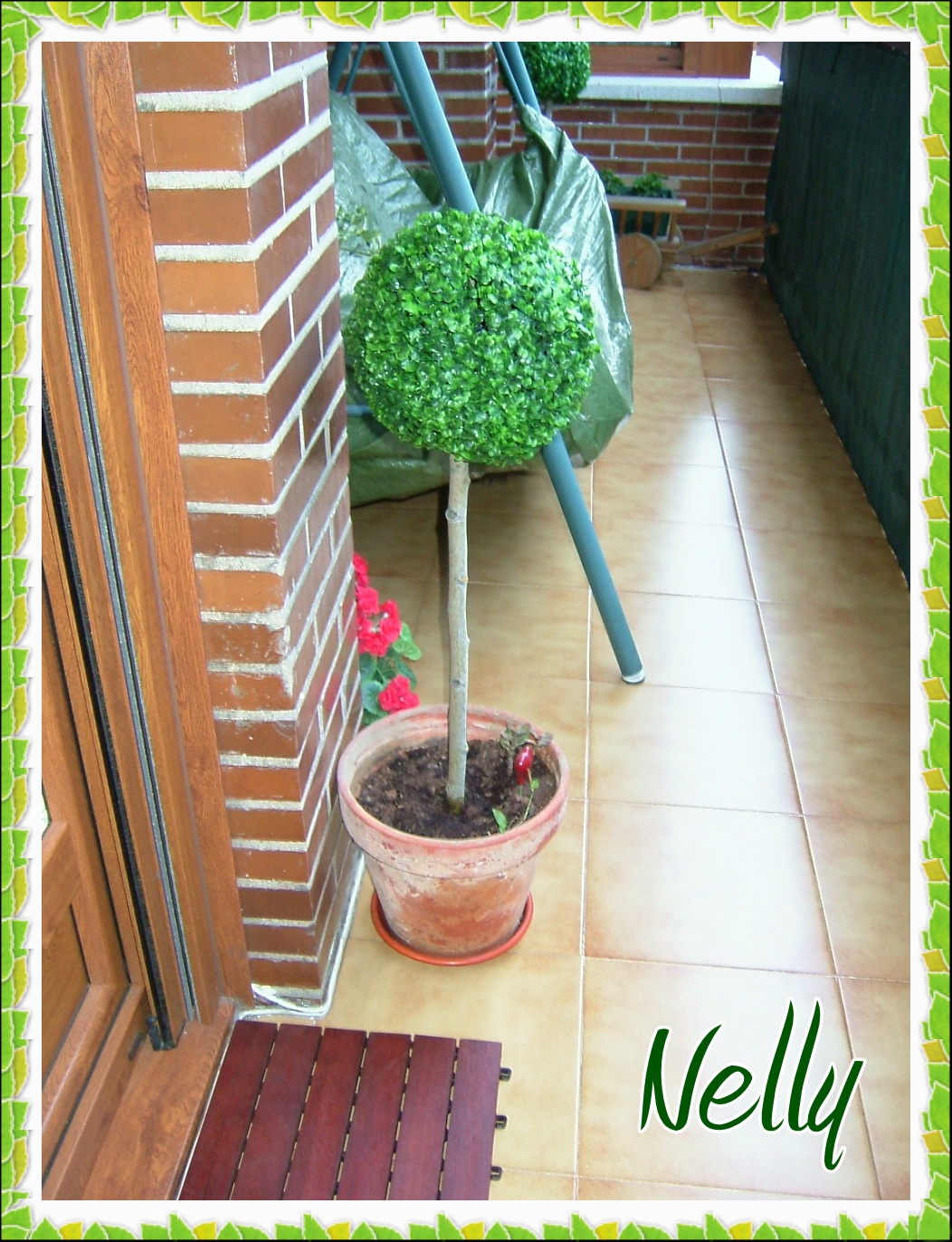 Misceláneas cristall: Paso a paso......Flores para mi balcón!!!