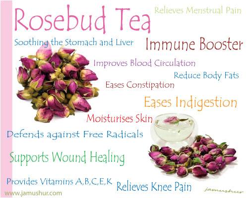 Benefit Of Drinking Rose Bud Tea Benefit Of Drinking Rose Bud Tea