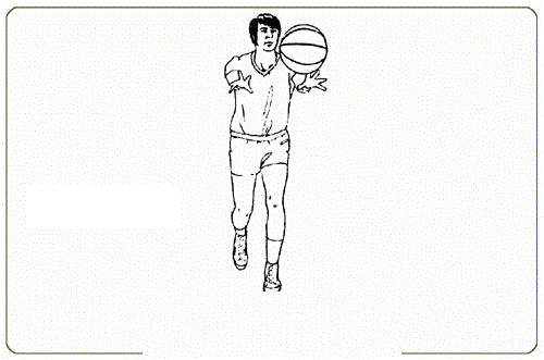 الأموال لإدارة رجل اعمال التمريرة الصدرية في كرة السلة pdf - nerd 