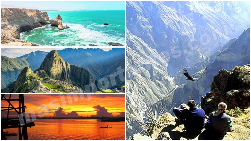 viajes de excursion, visitas de estudio