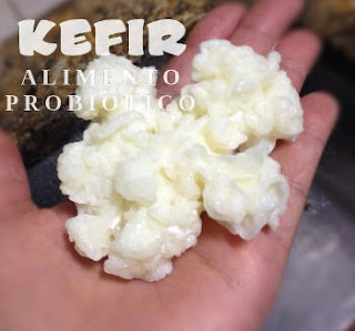 Kefir de leite fresco  
