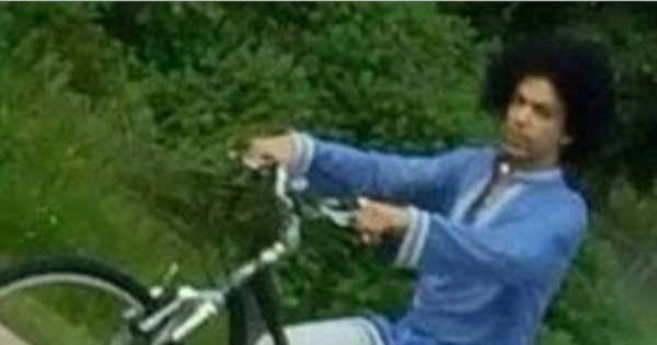 prince bicycle
