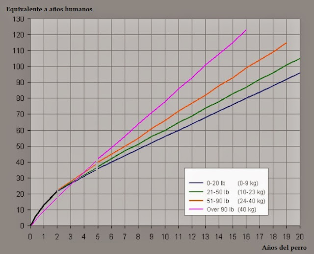 calcular la edad de los perros