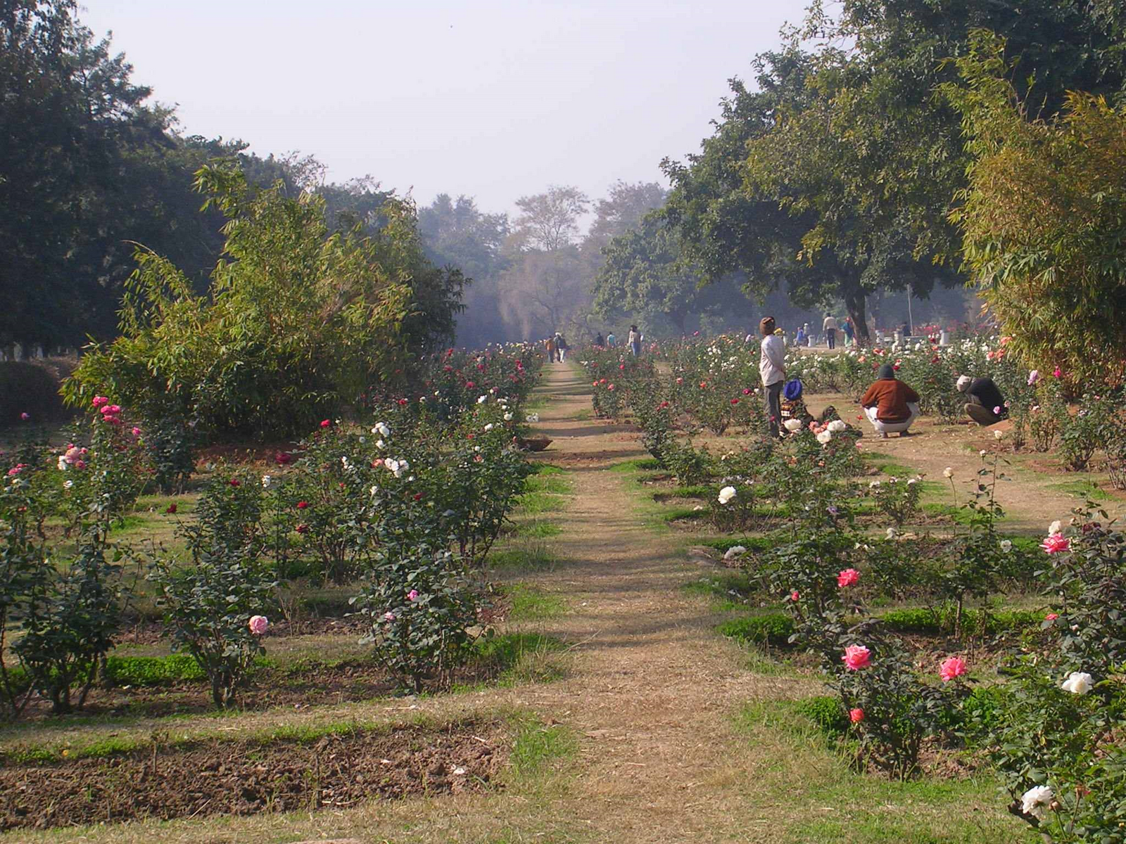 Garden Decor: Historic garden in india