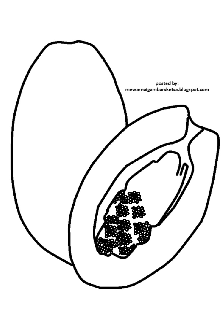 Mewarnai Gambar Mewarnai Gambar Sketsa Buah Pepaya 1