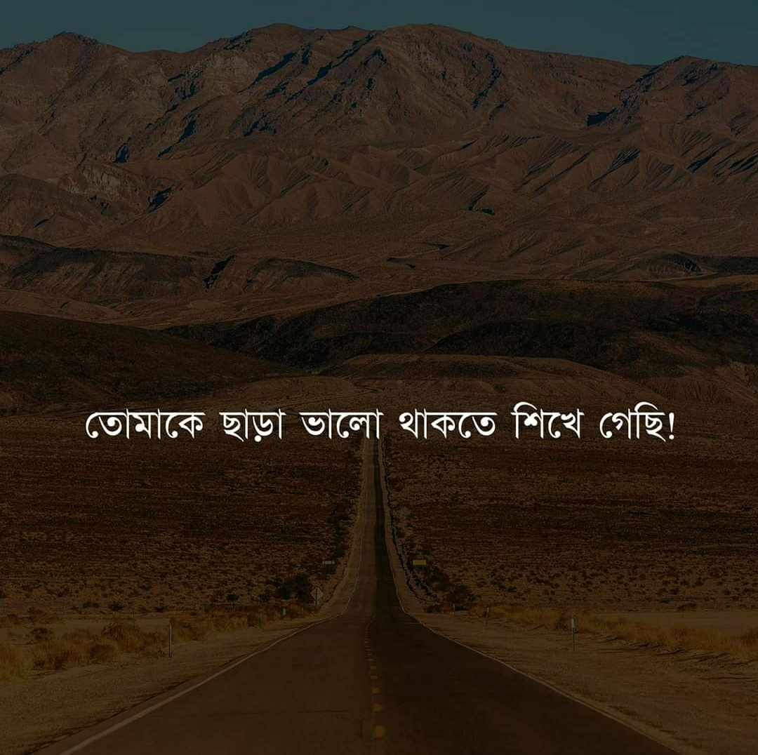 50+ Best Bangla Status For Facebook Facebook Bangla Status About Life বাংলা ফেসবুক স্ট্যাটাস