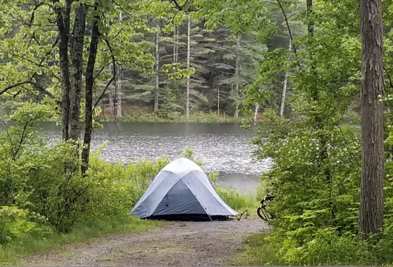 Guest Blog Adventures at Half Moon Pond State Park