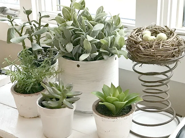 Real and faux plants on a DIY tray 
