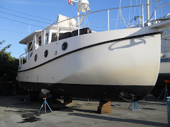 This is 'before'.  By next week, mew bottom paint, hull washed  and waxed!