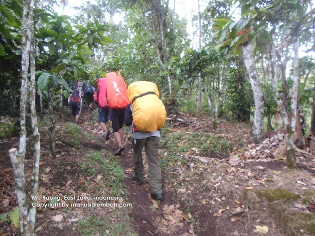 Jalur pendakian gunung raung via kalibaru