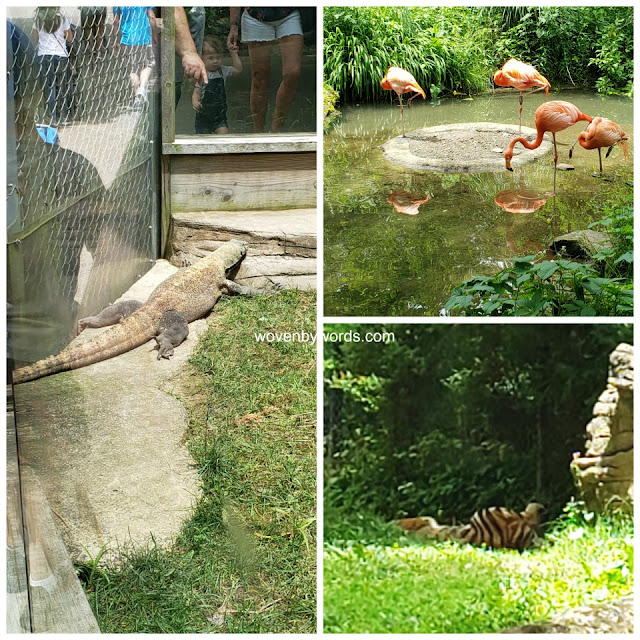 Woven by Words Visit Pittsburgh Zoo & PPG Aquarium