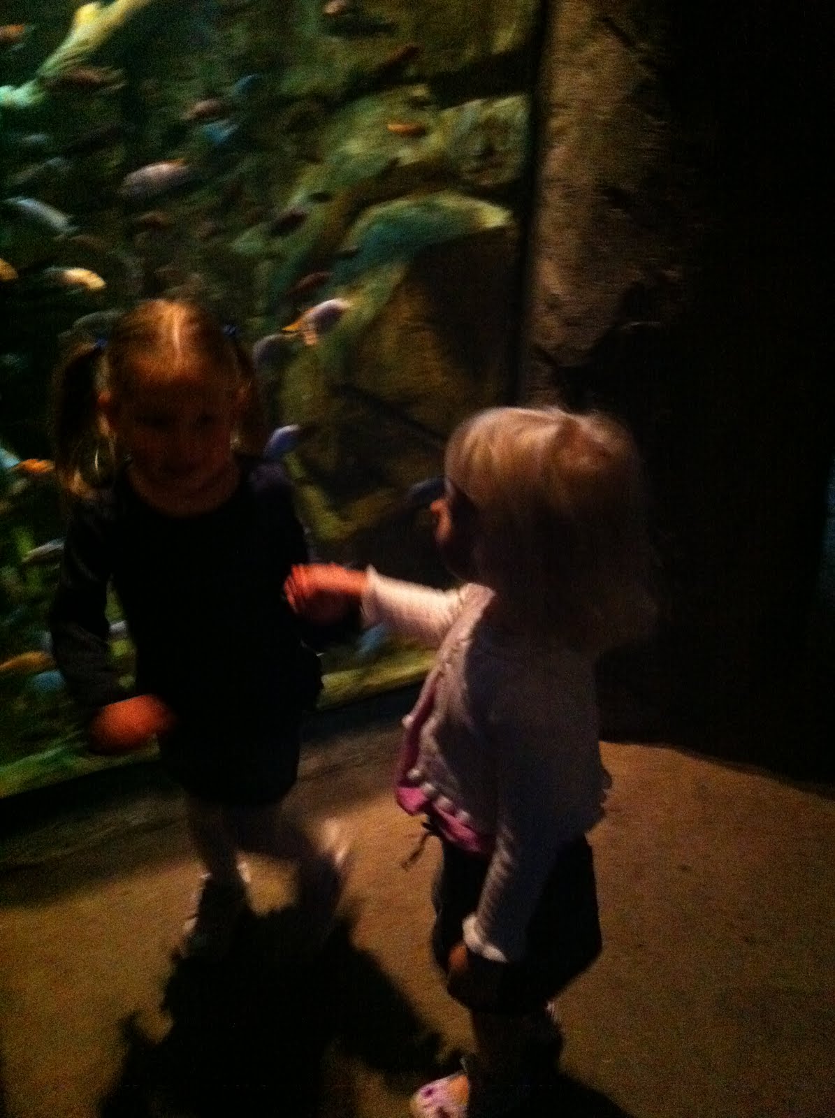 French Family Denver Aquarium