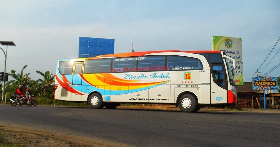 Азия экспресс таджикистан автобус. Info busses. Школьный автобус мультяшный. Водитель автобус панда. Bus mania.