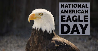 National American Eagle Day HD Pictures, Wallpapers