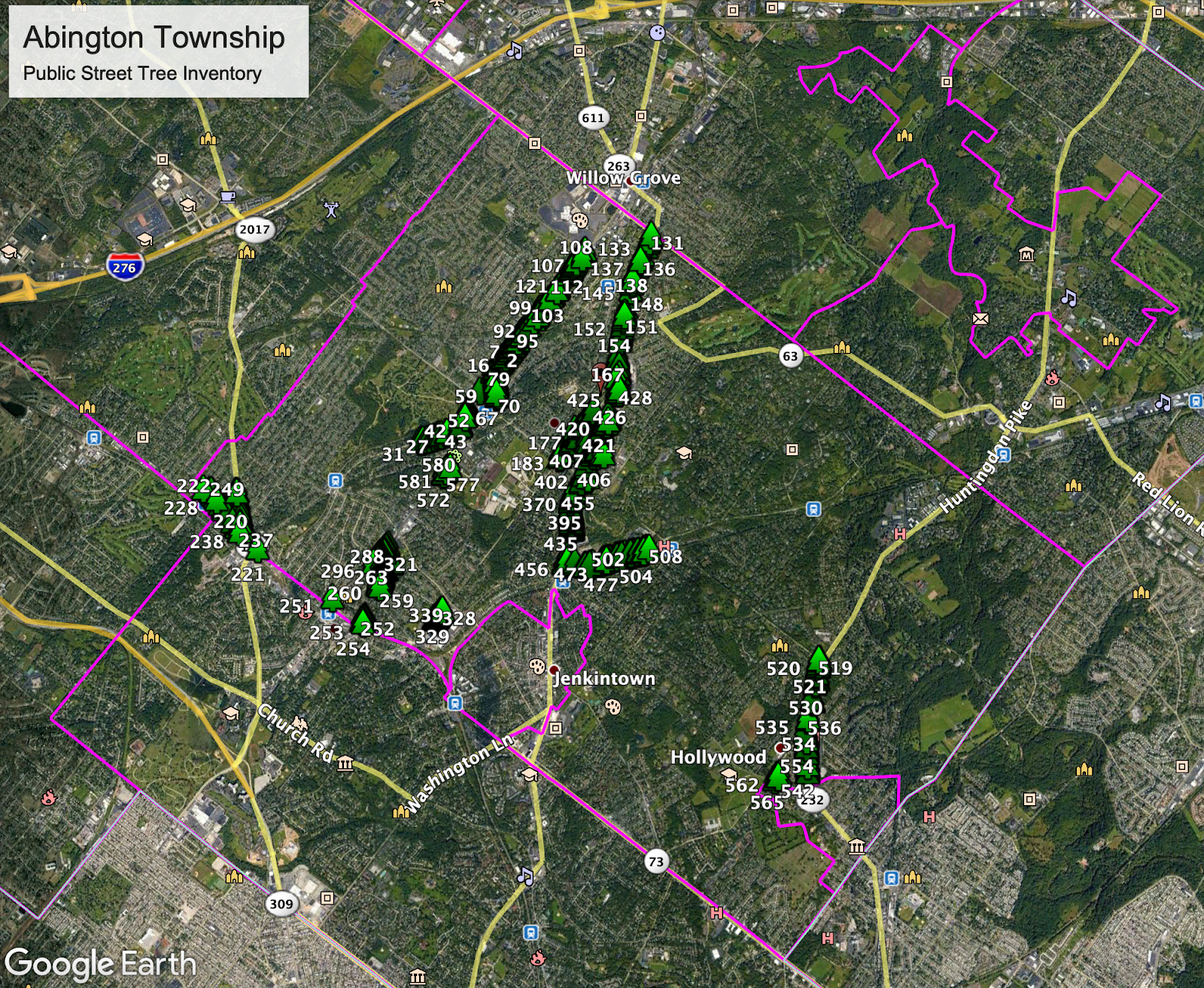 How to Measure the DBH of a Tree