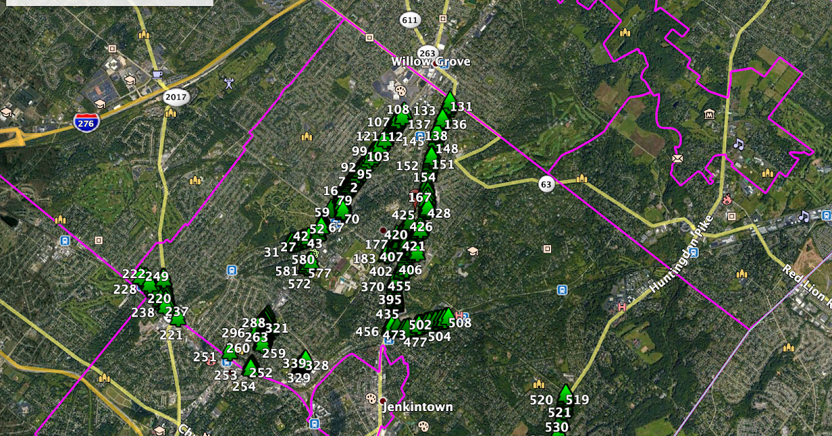 How to Measure the DBH of a Tree
