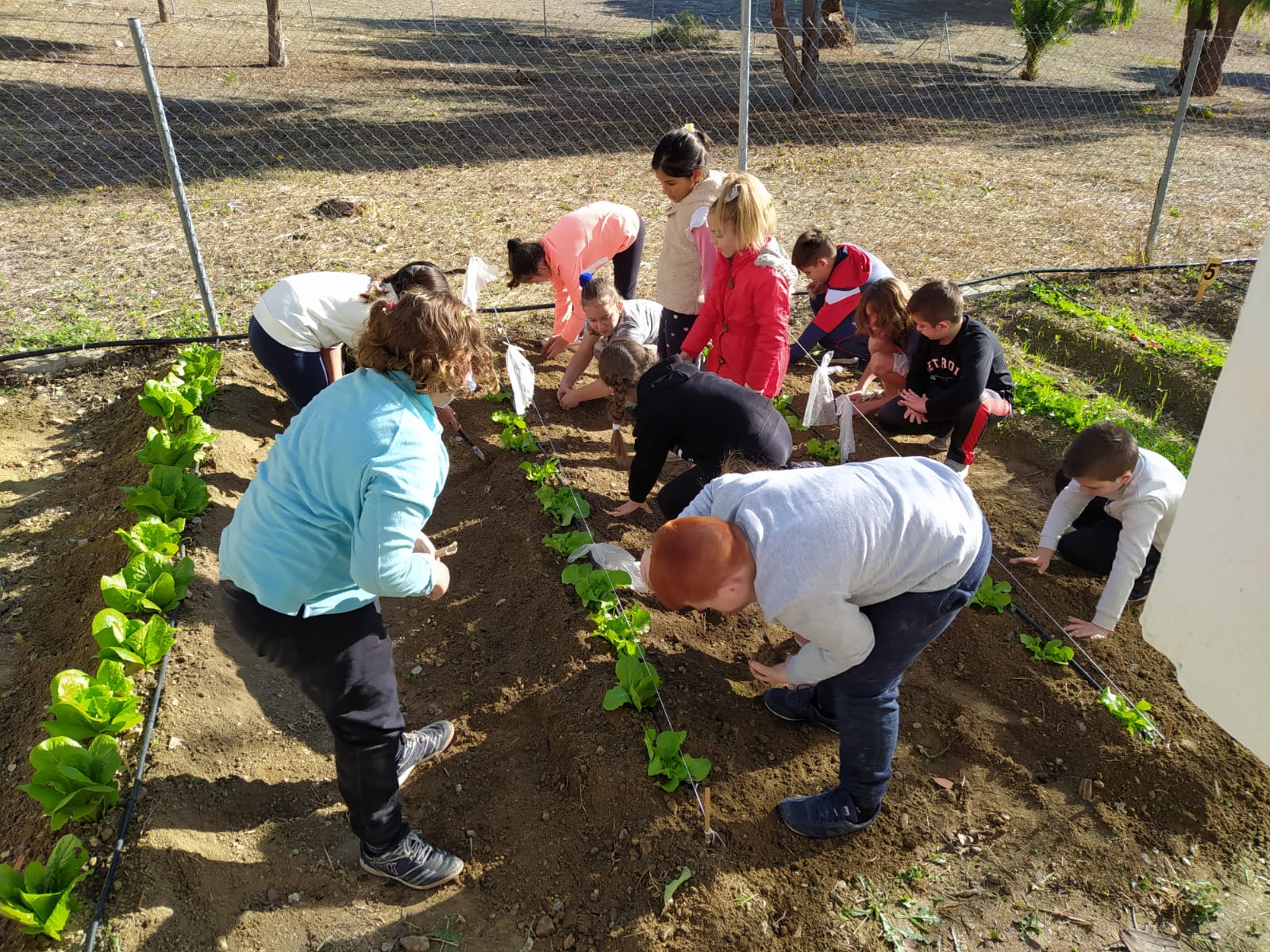 El Plan Aldea inicia su andadura sin incidencias destacadas, en una jornada en la que 39