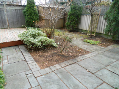 York Humewood Backyard Fall Cleanup After by Paul Jung Gardening Services--a Toronto Gardening Company York Humewood Backyard Fall Cleanup After by Paul Jung Gardening Services--a Toronto Gardening Company