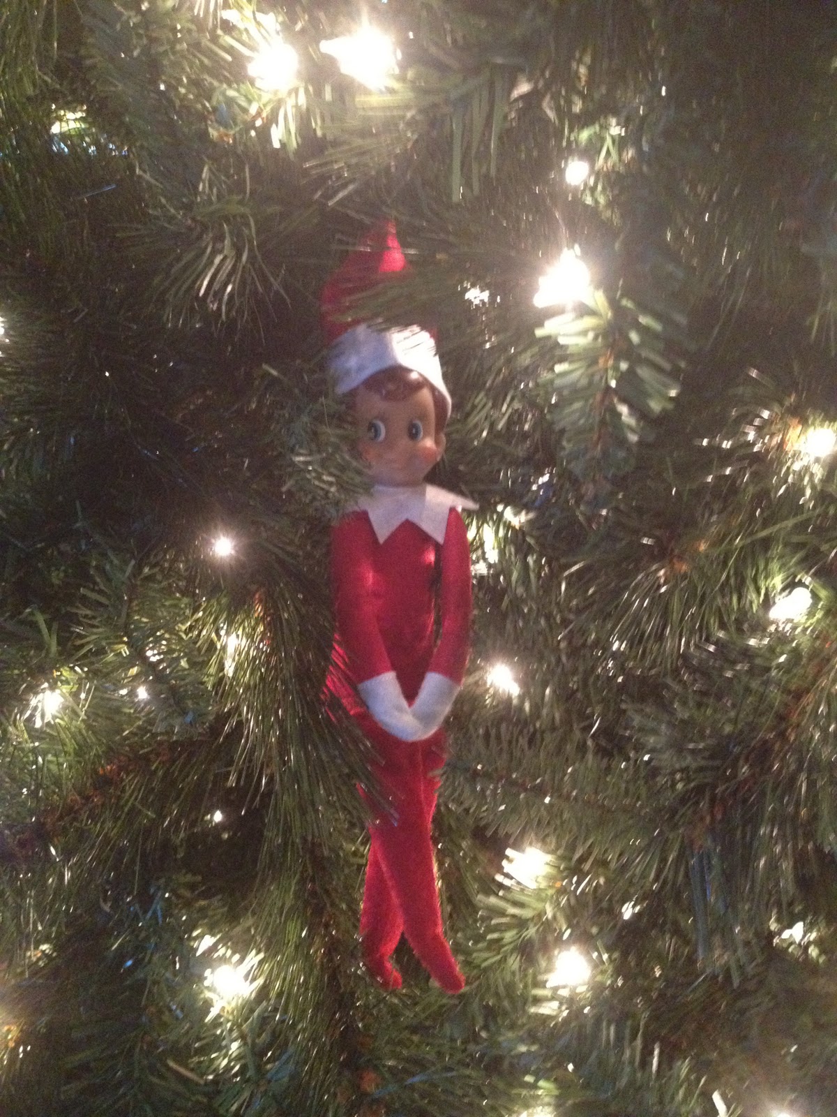 Mr. Jingles' Adventures How It All Started