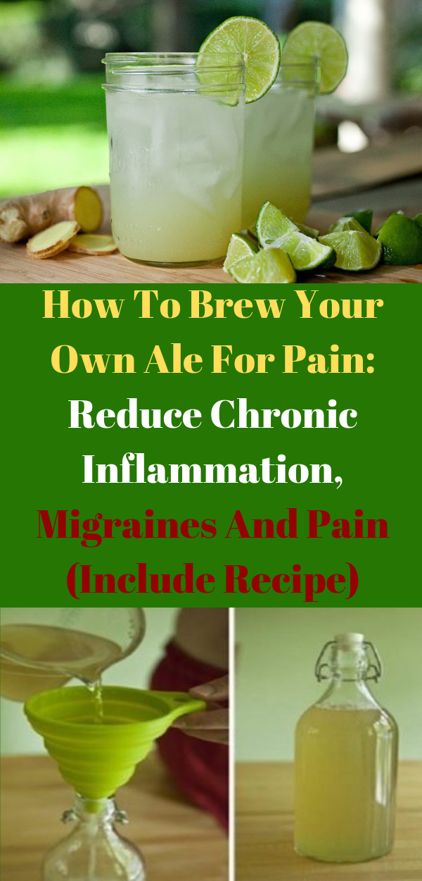 How To Brew Your Own Ale For Pain Reduce Chronic Inflammation