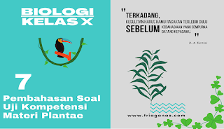 Soal essay alga 07 picture