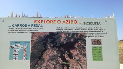 Zona de aluguer de bicicletas e carros a pedal - Explore o AZIBO
