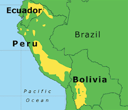 Ayllu: The Inca Ayllu