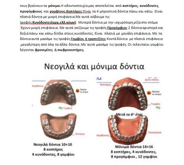 ποσα δοντια αλλαζουν τα παιδια