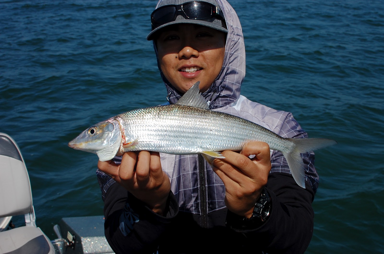 SoCal Fish N Tips San Diego Bay Bonefish