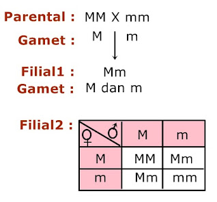 Bimbel Jakarta Timur