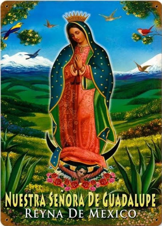 Banco de Imágenes Gratis: 37 Estampas de la Virgen de Guadalupe - Hermosas  Imágenes para el perfil y muro de sus redes sociales...