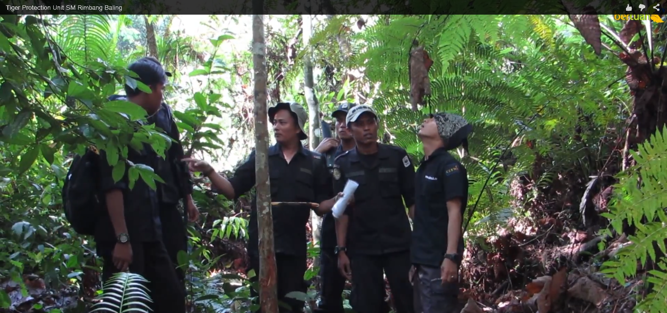 Suaka Margasatwa Bukit Rimbang dan Bukit Baling, Blogger Bertuah dan