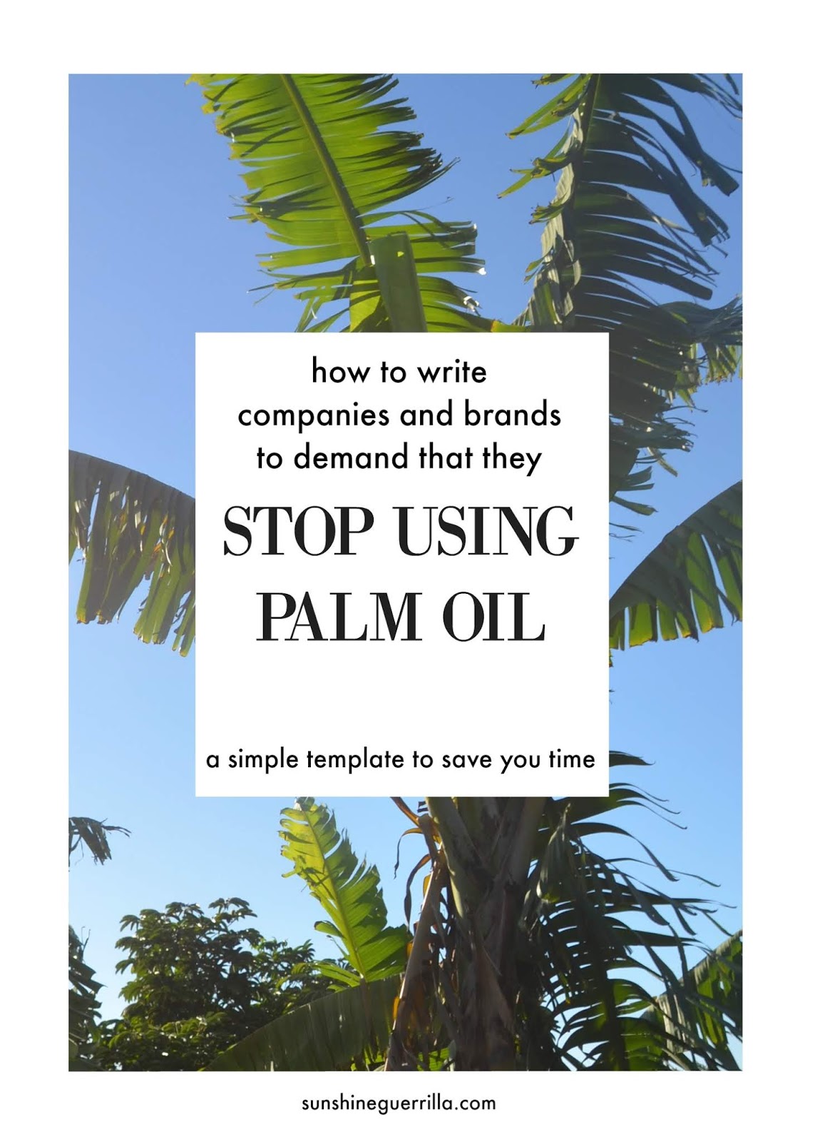 How to Write Companies to Ask them to Stop Using Palm Oil - Sunshine