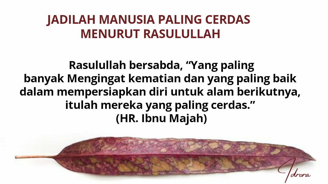 Jadilah Manusia Paling Cerdas Menurut Rasulullah - idrora