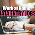 Big data entry work