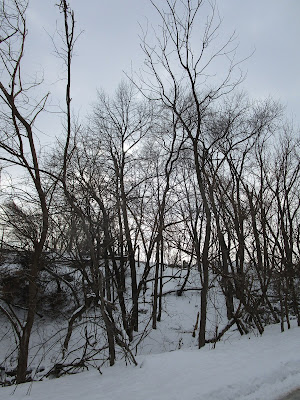 Winter sky, trees