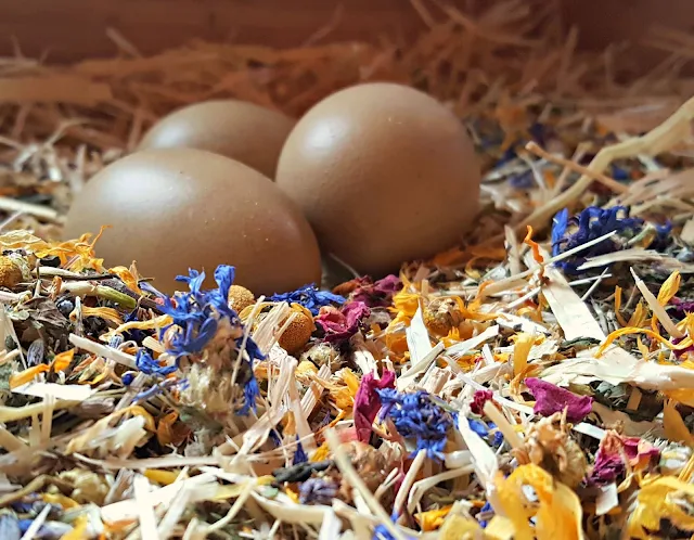 eggs in bed of dried herbs and shavings