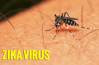 Nguyên nhân của sự lây lan virut Zika