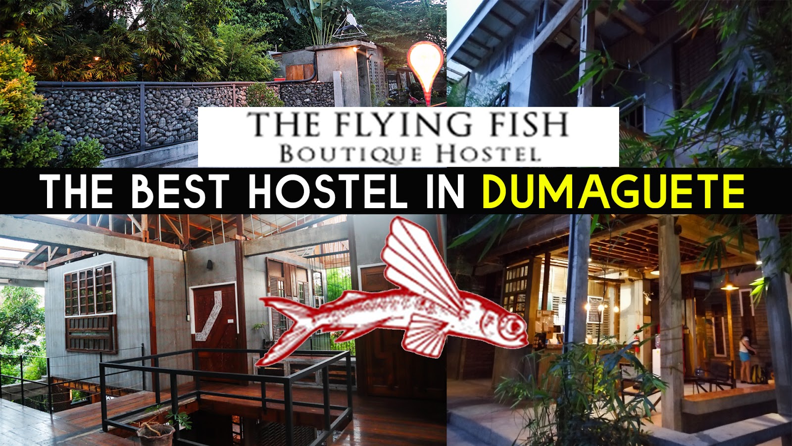 BEST Hostel in Dumaguete FLYING FISH HOSTEL Mura Na at Maganda pa!